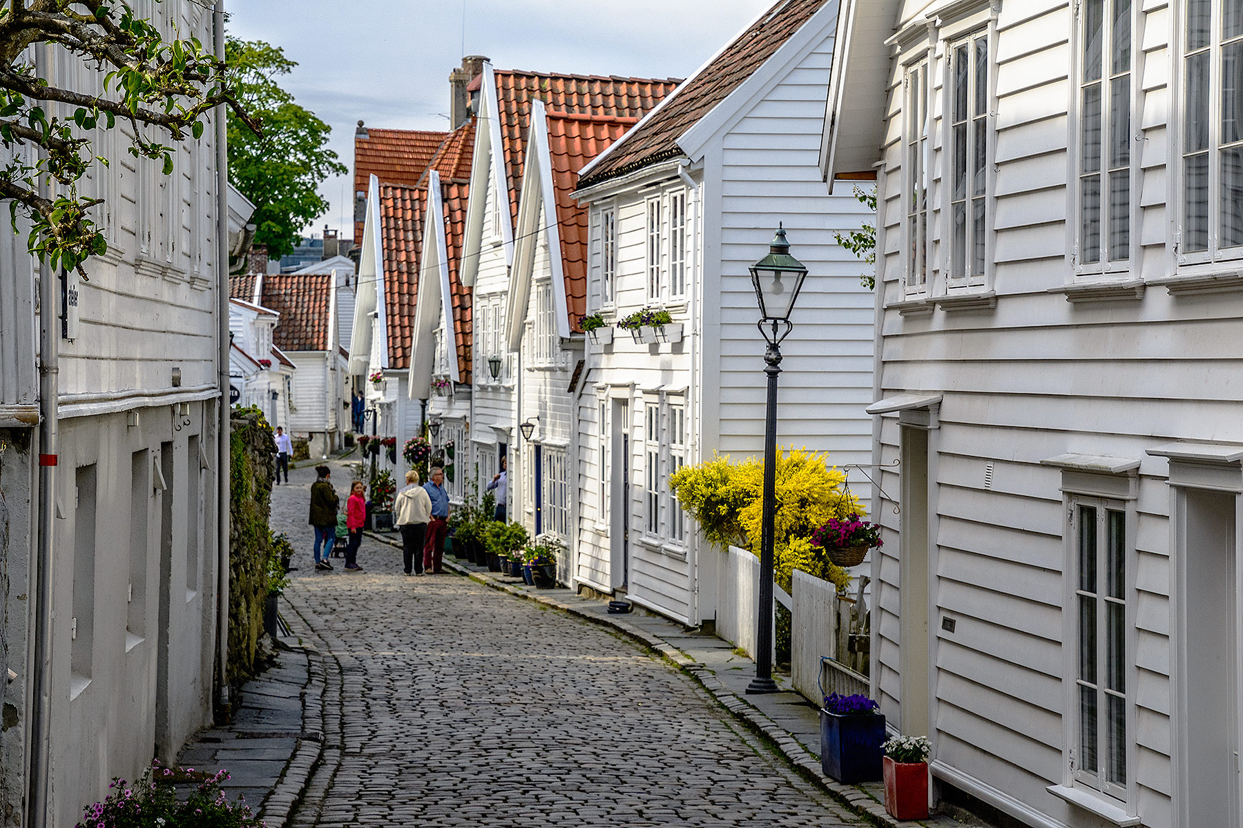 Stavanger